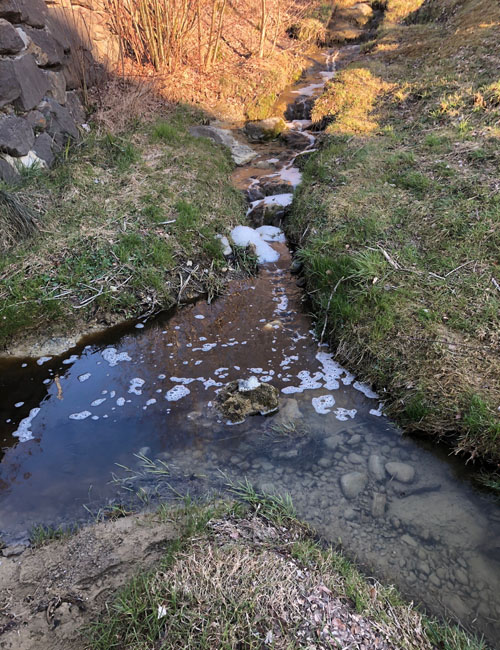 Gewässerschmutzung Bild 4